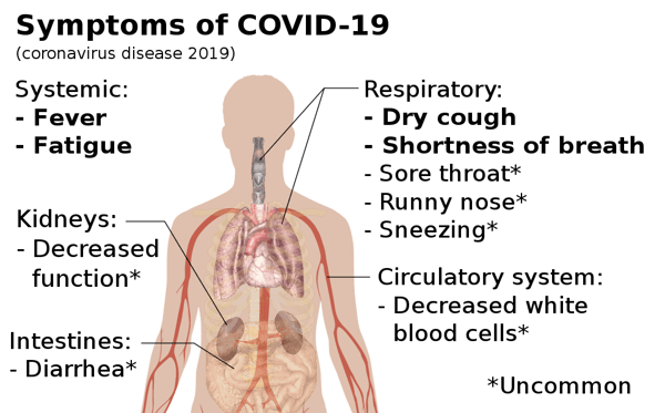 1024px-Symptoms of Covid.jpg