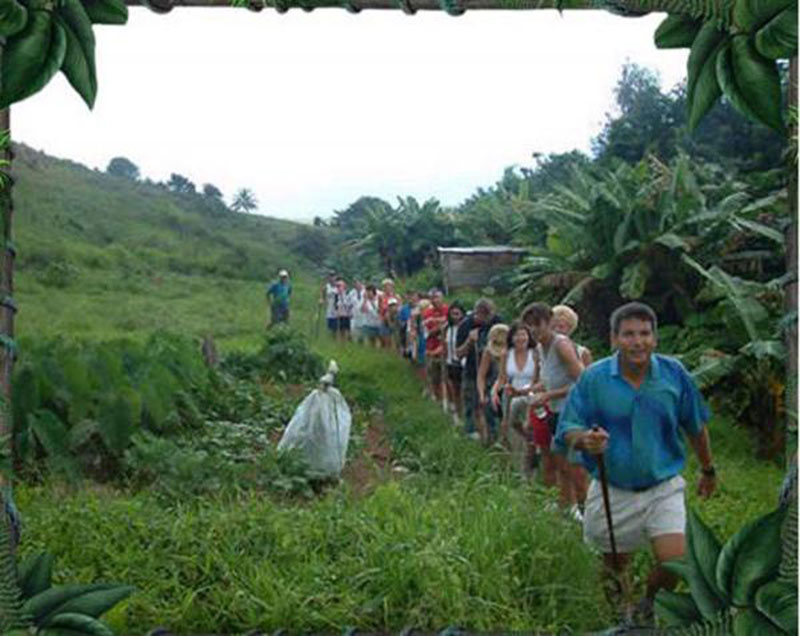 A SCENIC WORKOUT: Mt. Liamuiga Hike is a great way to spend a day seeing St. Kitts. Photo: St. Kitts Tourism/Greg's Safaris.