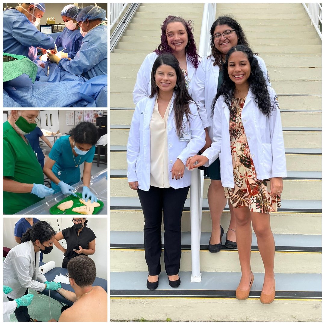 Arielys Collage 6-Crop