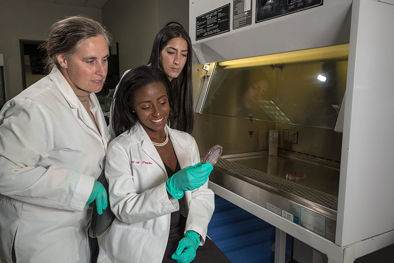 Dr. Jane Harrington (left) with UMHS students in the UMHS Research Lab. Photo: Ian Holyoak