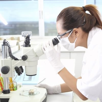 INAUGURAL SEMESTER: Medical Research Elective starts this summer, allowing students to work on diverse projects under supervision of Course Director Dr. Jane Harrington. Photo: FreeDigitalPhotos.net