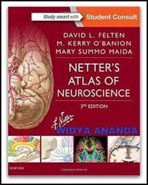 NETTER'S ATLAS OF NEUROSCIENCE: Dr. Felten is the principle author of this famous book, along with co-authors M. Kerry O'Banion & Mary Summo Maida. Photo: Pinterest.com