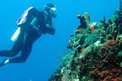 Diving at Nags Head, St. Kitts. Photo: St. Kitts Tourism