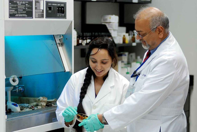 Professor Kotwal with student researcher Harleen Saini in the UMHS Microbiology Lab discussing mold growth results. Photograph by medical student, Matthew Carpenter.