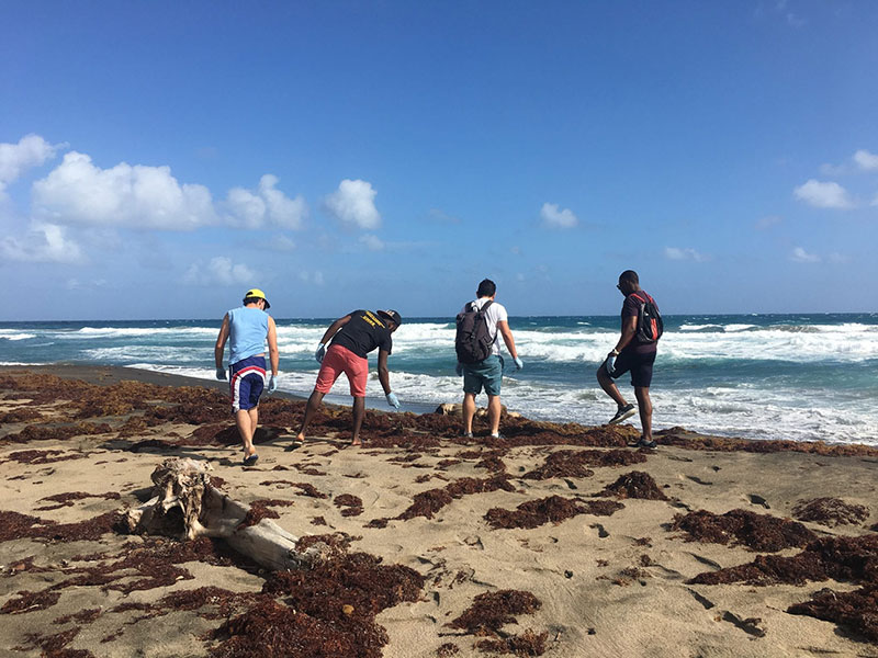 Carlos Rosario, Tevin Brown, Michael Garcia & Kudzi Chimuka at the UMHS SGA Beach Cleanup at Keys Beach, St. Kitts on February 10, 2018. Photo: UMHS SGA