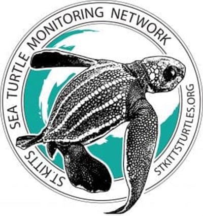 SEA TURTLES THREATENED: Sea turtles often mistake plastic bags for jellyfish, causing them to choke or starve. Image: Stkittsturtles.org