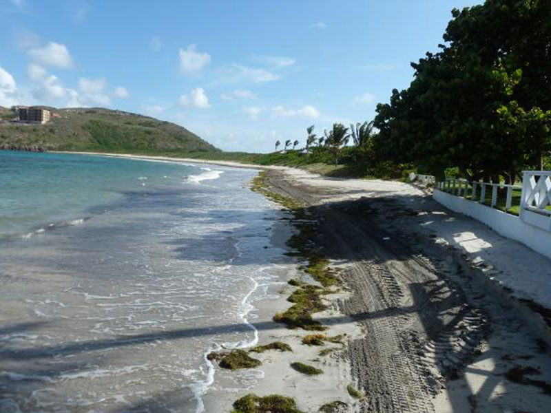 TURTLE BEACH: This secluded favorite is famous for great snorkeling. Photo: St. Kitts Tourism