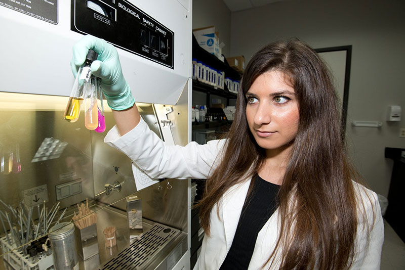 UMHS STUDENT SAMAH HALBOUNI: Analyzed the incidence of mosquito-borne tropical diseases to develop a project plan for an epidemiological student that determines risk for medical students in the Caribbean. Photo: Ian Holyoak