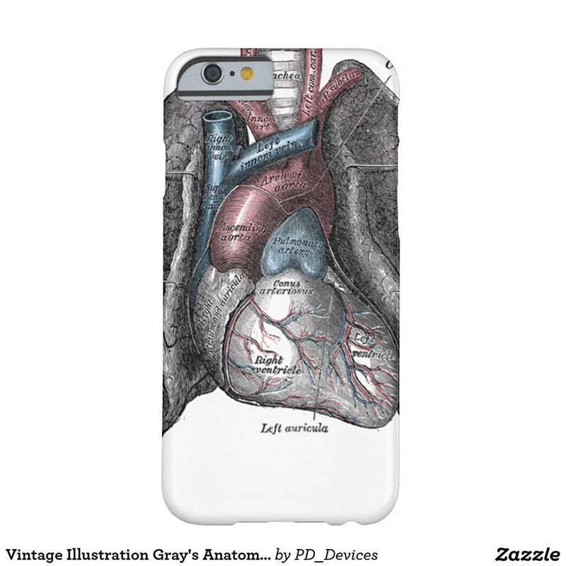 VINTAGE ILLUSTRATION 'GRAY'S ANATOMY' IPHONE CASE: Among the many doctor-themed iPhone cases from Zazzle.com. Photo: Zazzle.com