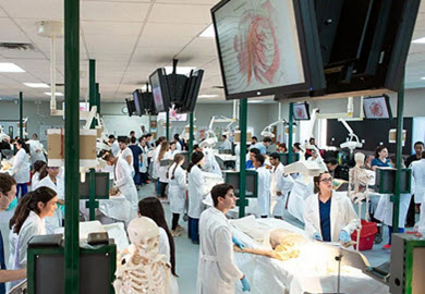 anatomy-lab-disection