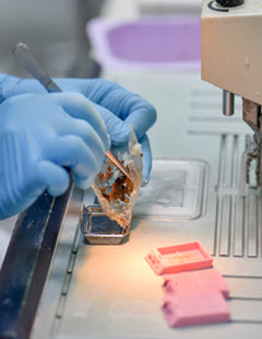 becoming-a-pathology-physician