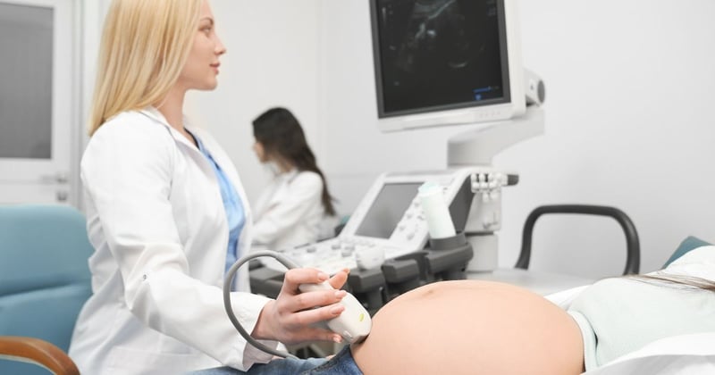 OB gyn performing ultasound