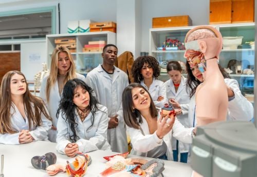 premed-postbacc-students-studying-anatomy