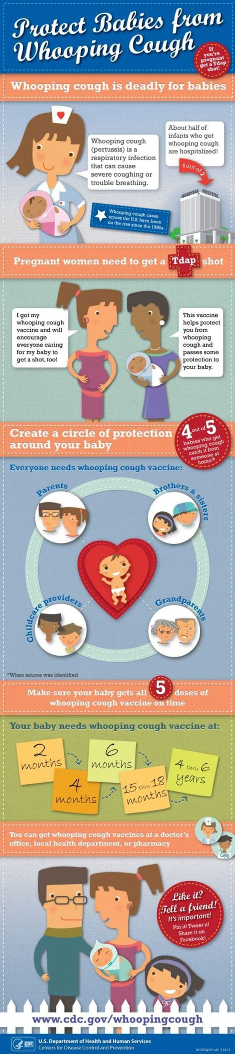 protect babies from whooping cough. Infographic: CDC/Pinterest.com