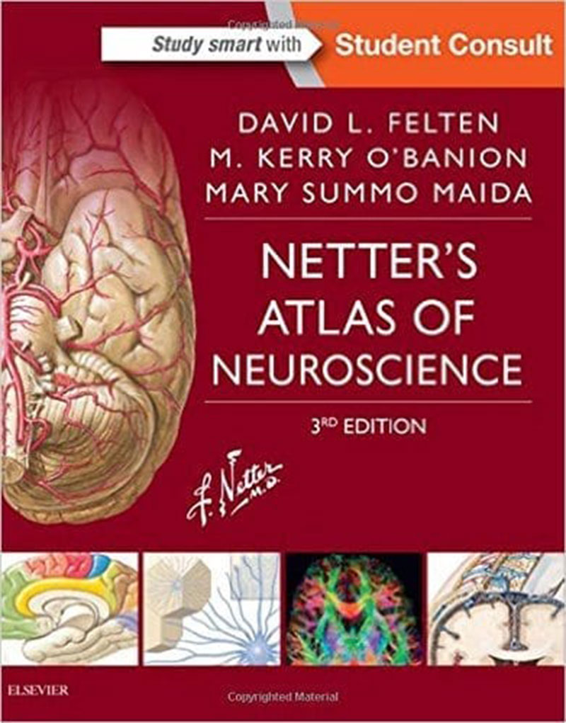 Netters-Atlas-of-Neuroscience