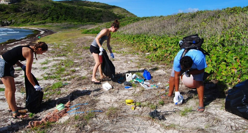beach-cleanup