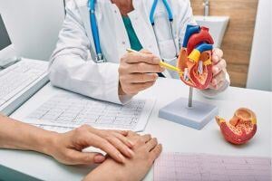 cardiologist-showing-model-to-patient