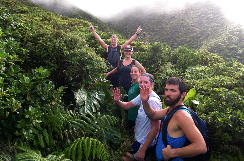 rainforest hike st. kitts